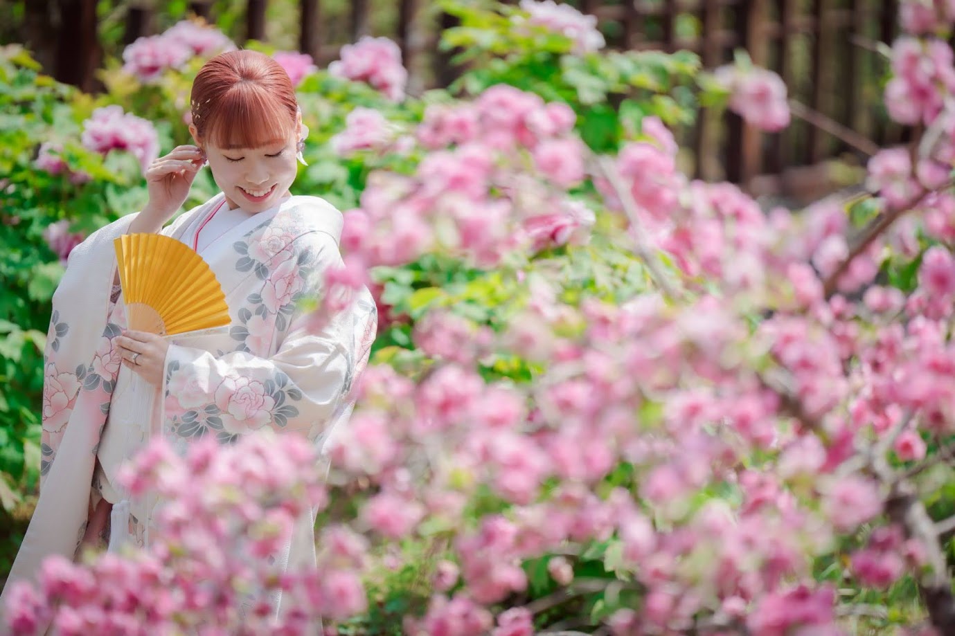 【Instagram限定】ロケーションフォト駆け込みプラン　洋装99,000円　和装121,000円