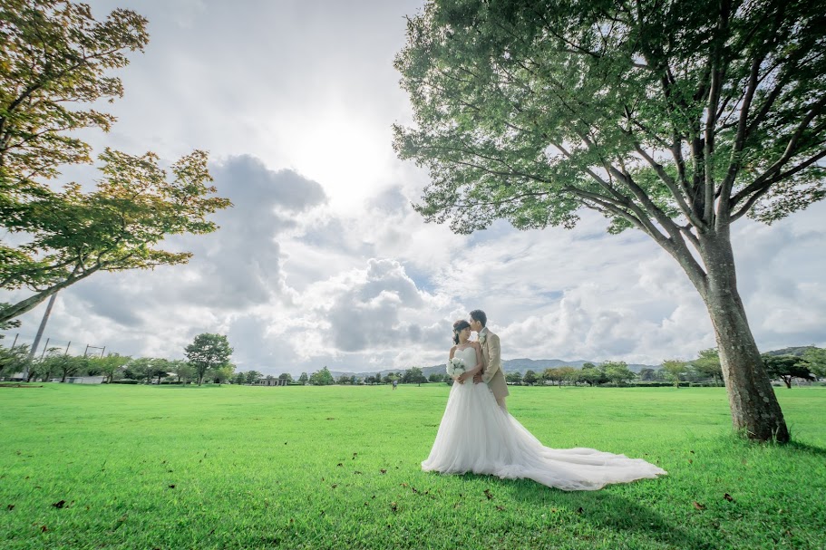 8月の芝生広場　フォトギャラリー