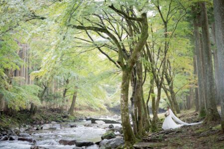 11月の巴川　フォトギャラリー