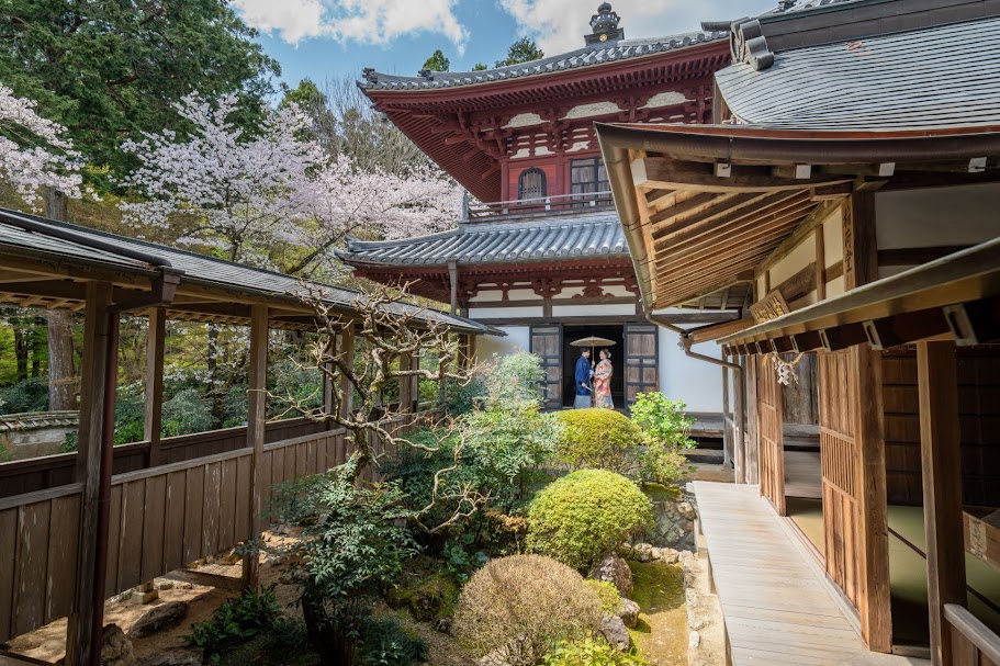 3月の龍潭寺（りょうたんじ）　フォトギャラリー