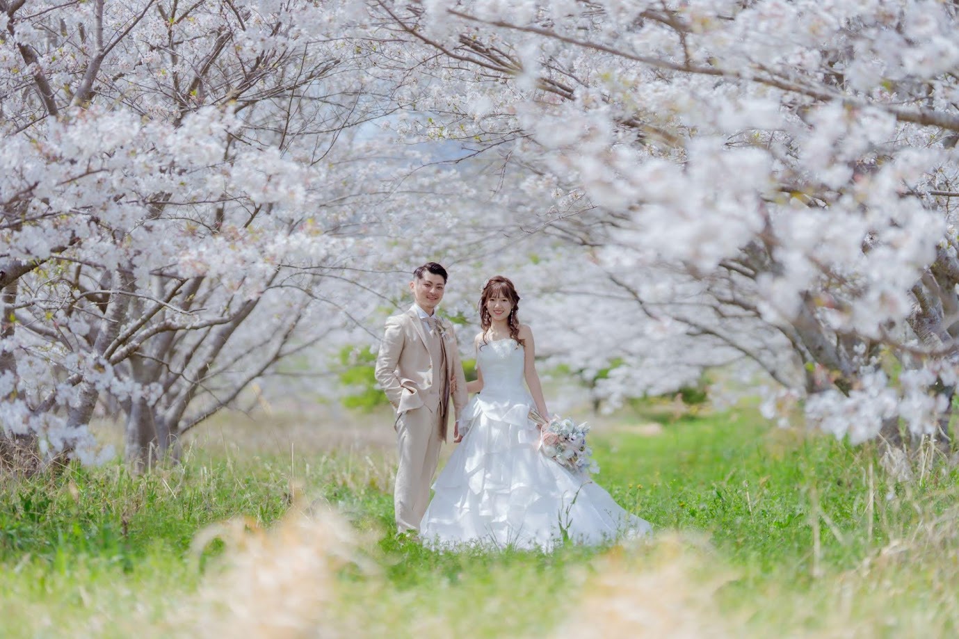 3月の細江町　フォトギャラリー