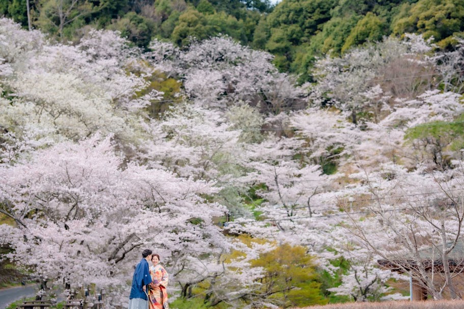 3月の方広寺　フォトギャラリー