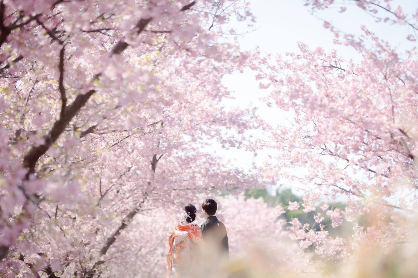 3月の東大山　フォトギャラリー