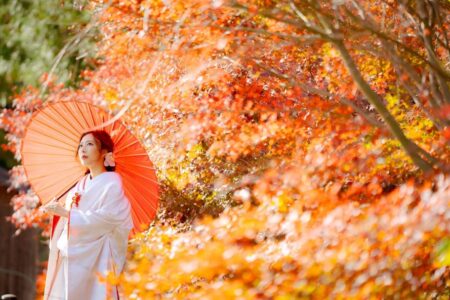 12月の方広寺　フォトギャラリー