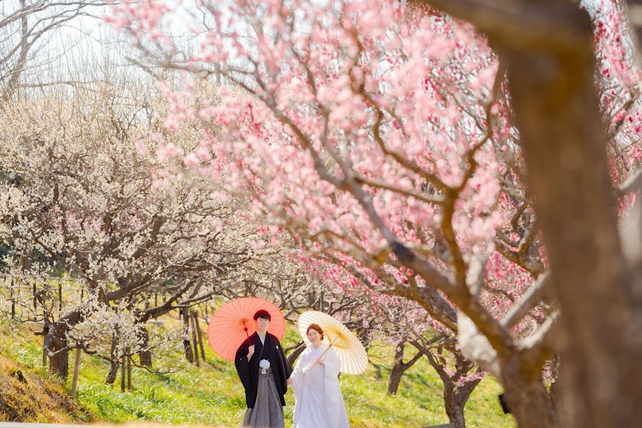 2月のフラワーパーク フォトギャラリー