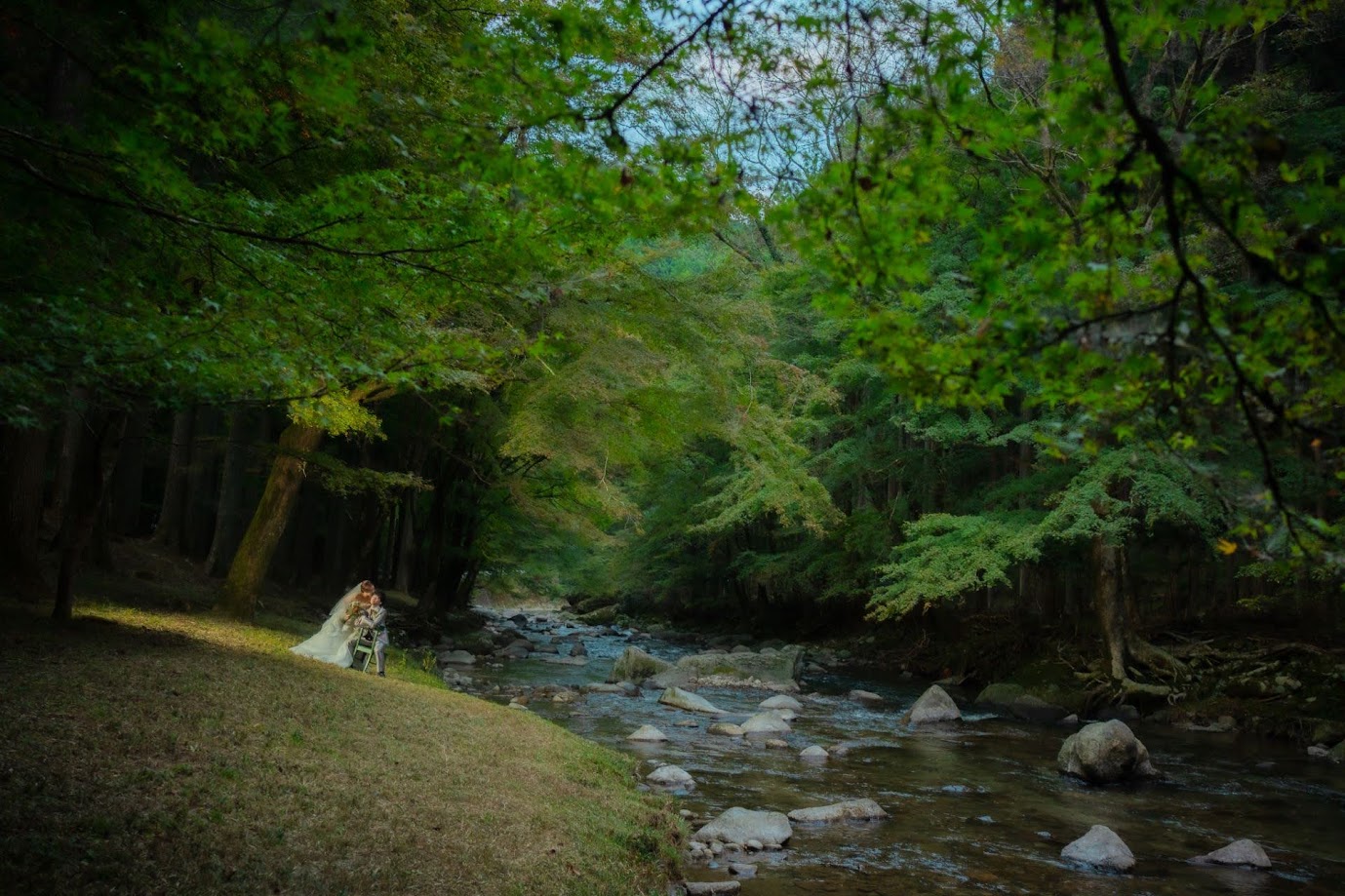10月の巴川　フォトギャラリー
