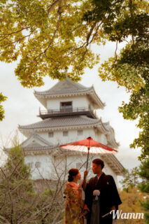 11月の掛川城　フォトギャラリー