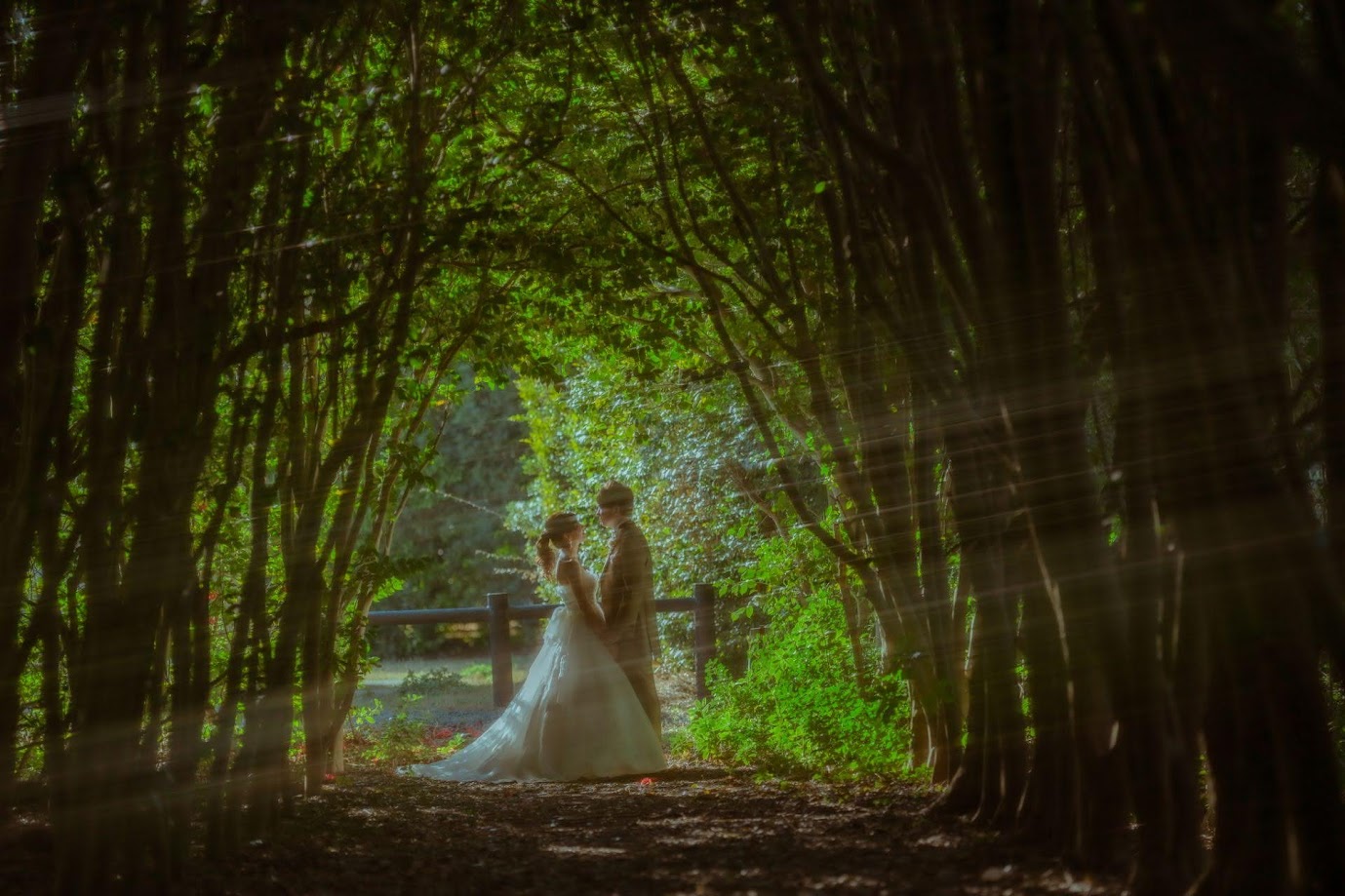 3月の　凧場公園フォトギャラリー