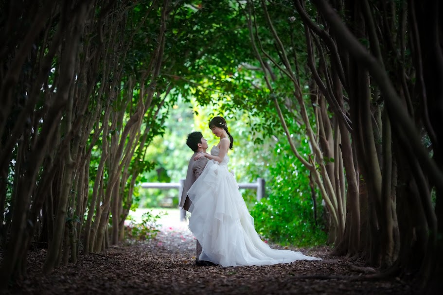 2月の　凧場公園フォトギャラリー