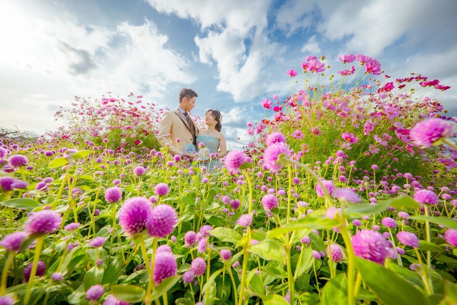 10月のフラワーパーク　フォトギャラリー