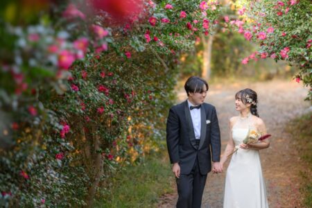 12月の　凧場公園フォトギャラリー