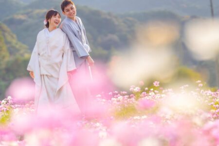 11月のコスモス畑　フォトギャラリー